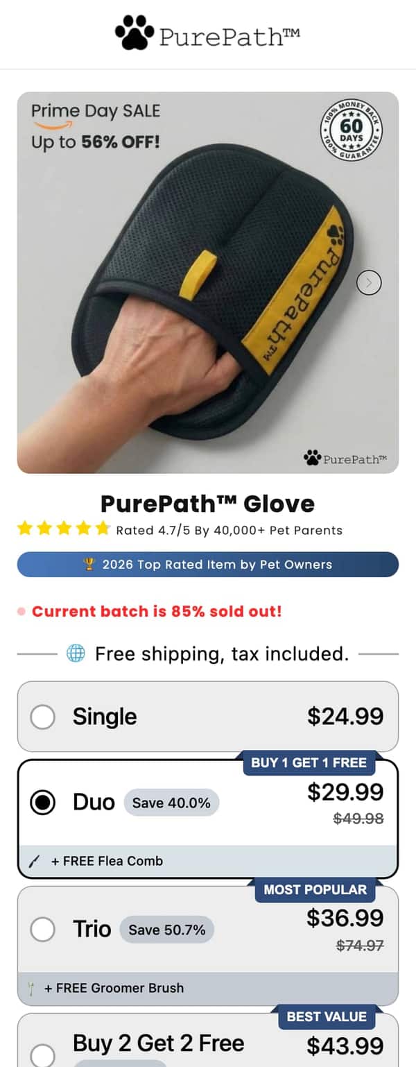 Pure Path Shop, After: our page